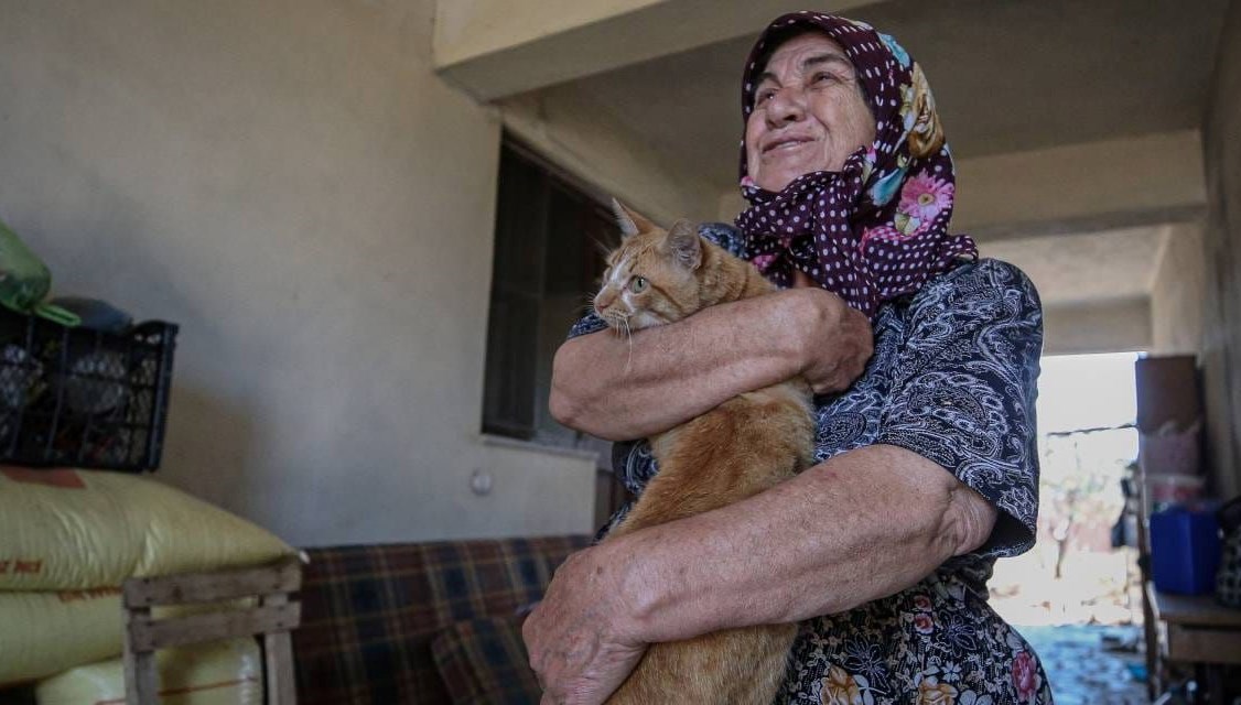 “Boncuk” Çanakkale yangını anlattı! Kedisine kavuşan kadın Kevser teyze mutlu oldu