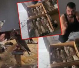 Bu görüntüler çok konuşulmuştu! İstanbul-Bursa arası kuş operasyonu