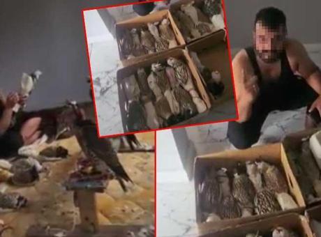 Bu görüntüler çok konuşulmuştu! İstanbul-Bursa arası kuş operasyonu