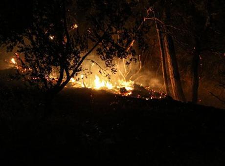 Çanakkale’deki orman yangını soruşturmasında yeni gelişme: 4 şüpheliye adli kontrol
