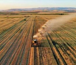 Çiftçilere güzel haber! 86,5 milyon liralık tarımsal destek kalemleri hesaplara yatırıldı