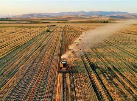 Çiftçilere güzel haber! 86,5 milyon liralık tarımsal destek kalemleri hesaplara yatırıldı
