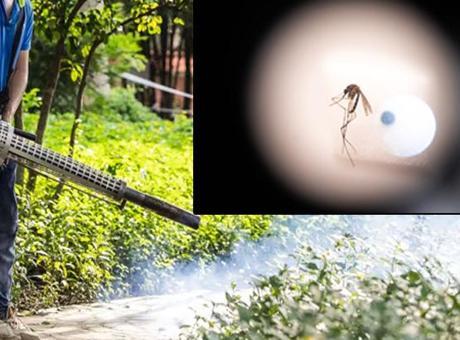 ÇİN’DE CHIKUNGUNYA SALGINI ALARM VERDİ: 7 BİNDEN FAZLA VAKA, DRONLA MÜCADELE BAŞLADI