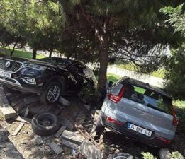 Cip sürücüsü fren yerine gaza bastı! Araç ağaçlık alana düştü