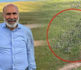Dağlık alanda yeşil örtüyle kaplı! Köylüler yıllardır atındaki gerçeği bilmeden gelip gitti
