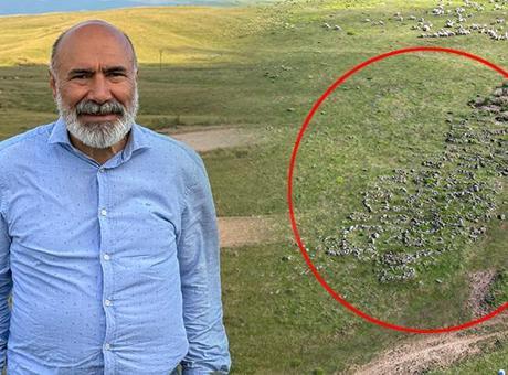 Dağlık alanda yeşil örtüyle kaplı! Köylüler yıllardır atındaki gerçeği bilmeden gelip gitti