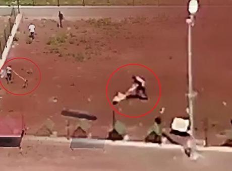 Dehşet drone kamerasıyla kaydedildi! Hayvan barınağındaki şiddete soruşturma