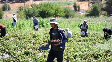 Devlet desteğiyle kuruldu, 50 ülkeye gönderiliyor!