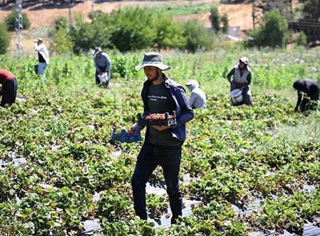 Devlet desteğiyle kuruldu, 50 ülkeye gönderiliyor!