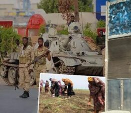 Dünya haberleri! 17 bin tohum Sudan’dan Arktik’e neden kaçırıldı? İç savaşın olduğu Sudan’da tohum operasyonu