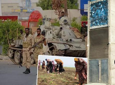 Dünya haberleri! 17 bin tohum Sudan’dan Arktik’e neden kaçırıldı? İç savaşın olduğu Sudan’da tohum operasyonu