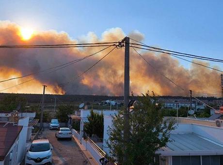 Edirne’de orman yangını! Bölgede tahliye çalışmaları başladı