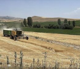 Ekili tarım arazisi yüzde 22 artan Kayseri’de üretici sayısı 32 bine ulaştı