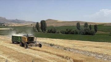 Ekili tarım arazisi yüzde 22 artan Kayseri’de üretici sayısı 32 bine ulaştı