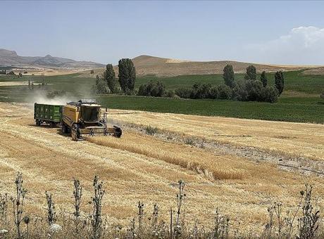 Ekili tarım arazisi yüzde 22 artan Kayseri’de üretici sayısı 32 bine ulaştı