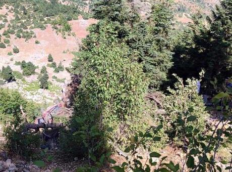 Feci kaza! Otomobil uçuruma yuvarlandı: 2 ölü