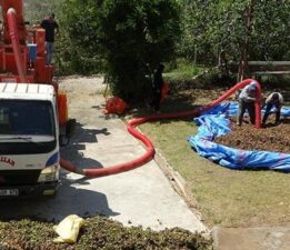 Fındıkta patoz mesaisi başladı: Saatlik ücreti 4 bin 500 TL