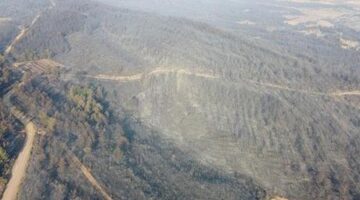 Gelibolu’daki yangının izleri havadan görüntülendi! Çanakkale ormanları küle döndü
