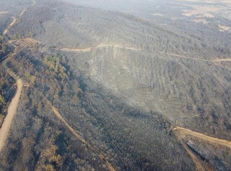 Gelibolu’daki yangının izleri havadan görüntülendi! Çanakkale ormanları küle döndü