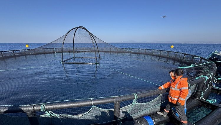 Hatay’dan Avrupa’ya balık ihracatı