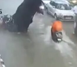 Hindistan’da fırtına: Ağaç, baba ve kızının üzerine devrildi