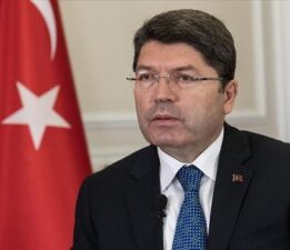 İstanbul’da bir kedinin tekmelenerek öldürülmesine ilişkin soruşturma başlatıldı