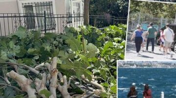 İstanbul’da fırtına etkisi! Zorunlu olmadıkça dışarıya çıkmayın: Ağaçlar devrildi, yaralılar var