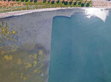 İzmir Körfezi’nde şaşırtan görüntü! Belediye başkanı paylaştı