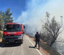 İzmir ve Adana’da orman yangını! Havadan ve karadan müdahale ediliyor