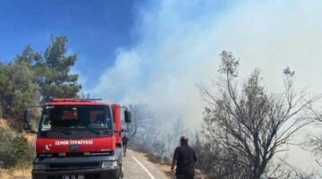 İzmir ve Adana’da orman yangını! Havadan ve karadan müdahale ediliyor