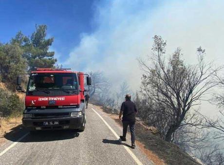 İzmir ve Adana’da orman yangını! Havadan ve karadan müdahale ediliyor