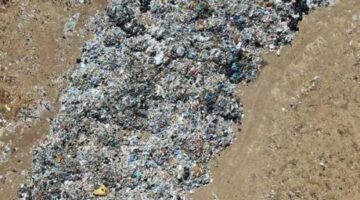 İzmir’de skandal manzara! Belediye başkanından açıklama geldi