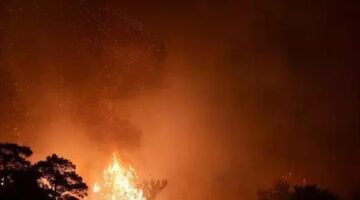 İzmir’deki orman yangınına ilişkin 3 kişi gözaltına alındı