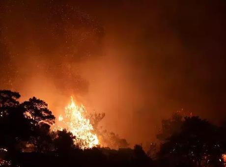 İzmir’deki orman yangınına ilişkin 3 kişi gözaltına alındı