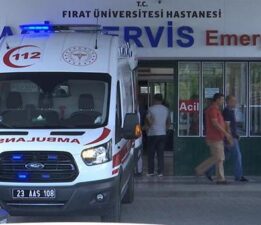Kaçan eşeğin yuları boynuna dolandı! 7 yaşındaki Meryem hayatını kaybetti