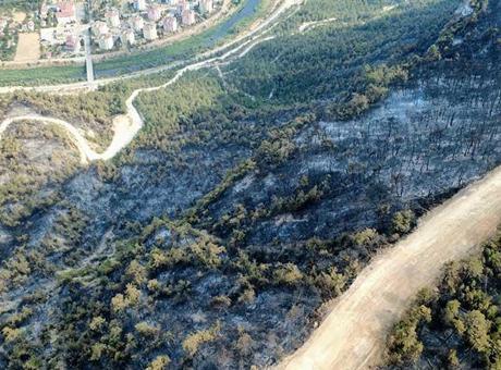 Karabük’te orman yangını! Valisi Yavuz’dan açıklama geldi