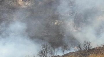 Kocaeli’de otluk alanda yangın! Alevler evlere sıçradı
