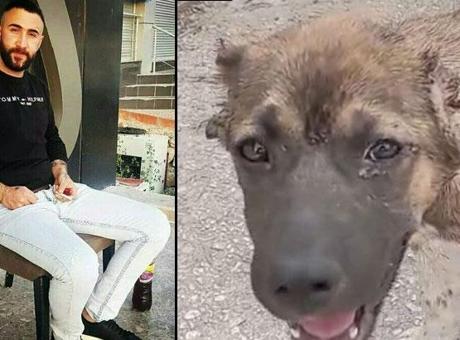 Köpeğin kulağını kesip işkence eden şahıs tutuklandı