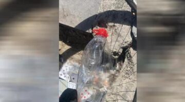 Küçükçekmece’de 4 çocuk kıraathaneye içi tuz ruhu dolu şişe attı