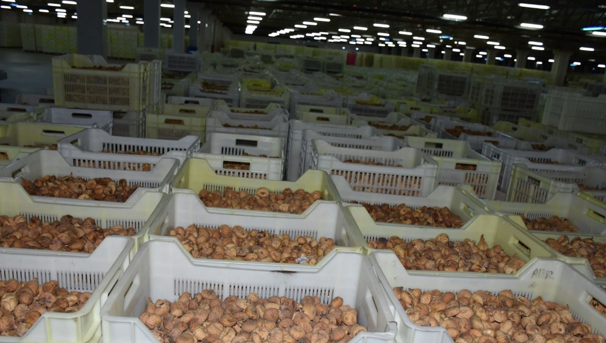 Kuru incir alım fiyatları açıkladı