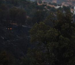 Malatya’daki orman yangını söndürüldü