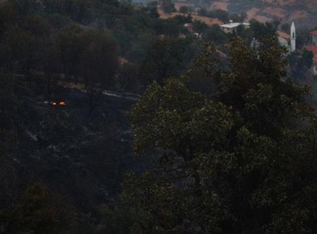 Malatya’daki orman yangını söndürüldü