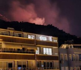 Marmara Adası’nda orman yangını! Ekiplerin alevlerle mücadelesi sürüyor