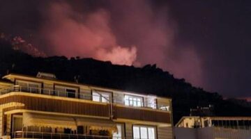 Marmara Adası’nda orman yangını! Ekiplerin alevlerle mücadelesi sürüyor