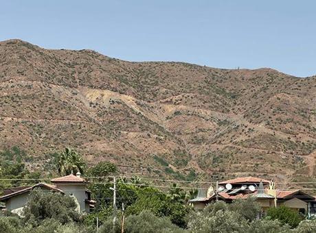 Muğla’da büyük yangınların 3. yılında yanan alanlar yeniden yeşillendi