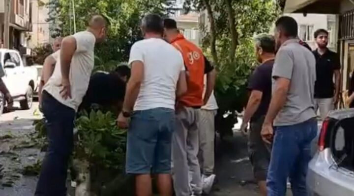 Oyuncu İbrahim Yıldız’ın üzerine ağaç düştü: Olay anı kamerada