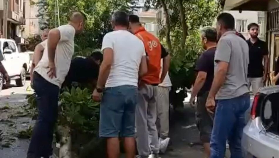 Oyuncu İbrahim Yıldız’ın üzerine ağaç düştü: Olay anı kamerada