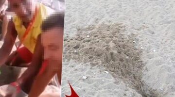 Para uğruna skandal! Caretta yavrularının turistlere pazarlandığı ortaya çıktı