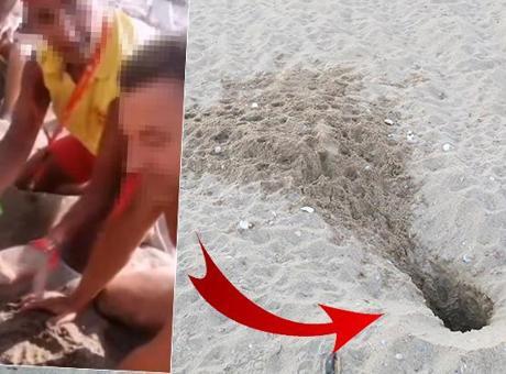 Para uğruna skandal! Caretta yavrularının turistlere pazarlandığı ortaya çıktı