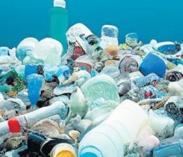 Plastik artıyor canlar gidiyor